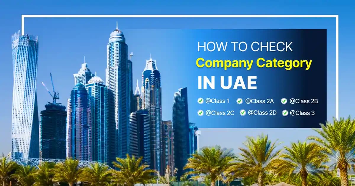 How to Check Company Category in UAE Online (MOHRE and Trade License)